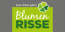 Logo Blumen Risse GmbH & Co. KG in Paderborn